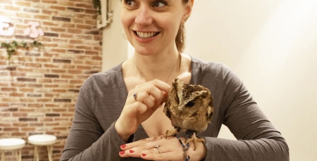 Best Tokyo Day, Complete with Owl Cafe